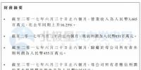 大唐新能源：2017年中期實現(xiàn)凈利3465百萬元 風電限電率同比下降5.8個百分點