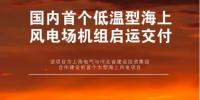 國內(nèi)首個低溫型海上風電場機組啟運交付的背后
