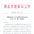 湖北省首批68家售電公司通過公示！4月20日前辦理注冊手續(xù)