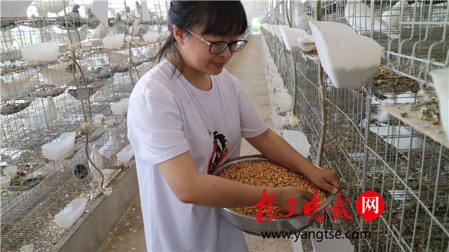 一個(gè)“80”后研究生的“綠色農(nóng)業(yè)夢”：用“互聯(lián)網(wǎng)+”思維做農(nóng)業(yè)，新型職業(yè)農(nóng)民“潮”起來