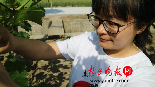 一個(gè)“80”后研究生的“綠色農(nóng)業(yè)夢”：用“互聯(lián)網(wǎng)+”思維做農(nóng)業(yè)，新型職業(yè)農(nóng)民“潮”起來