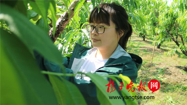 一個(gè)“80”后研究生的“綠色農(nóng)業(yè)夢”：用“互聯(lián)網(wǎng)+”思維做農(nóng)業(yè)，新型職業(yè)農(nóng)民“潮”起來