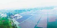 全球最大的水面漂浮光伏<font color=