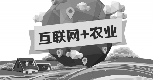 A5創(chuàng)業(yè)項目推薦：互聯(lián)網(wǎng)+農(nóng)業(yè)能碰撞出怎樣的新發(fā)展？