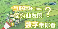 “互聯(lián)網(wǎng)+”如何促農(nóng)業(yè)發(fā)展？<font color=