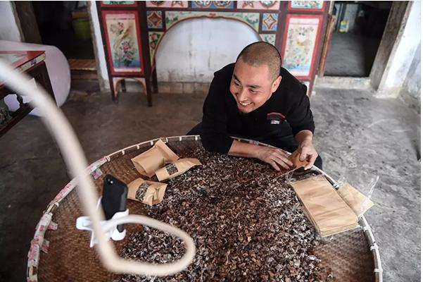 顛覆！裂變！賦能！互聯(lián)網(wǎng)+農(nóng)業(yè)領域的“豬飛起來了”