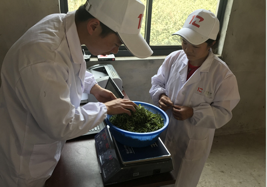 一乙雙平臺(tái)探索“互聯(lián)網(wǎng)+農(nóng)業(yè)” 促進(jìn)城鄉(xiāng)共同發(fā)展