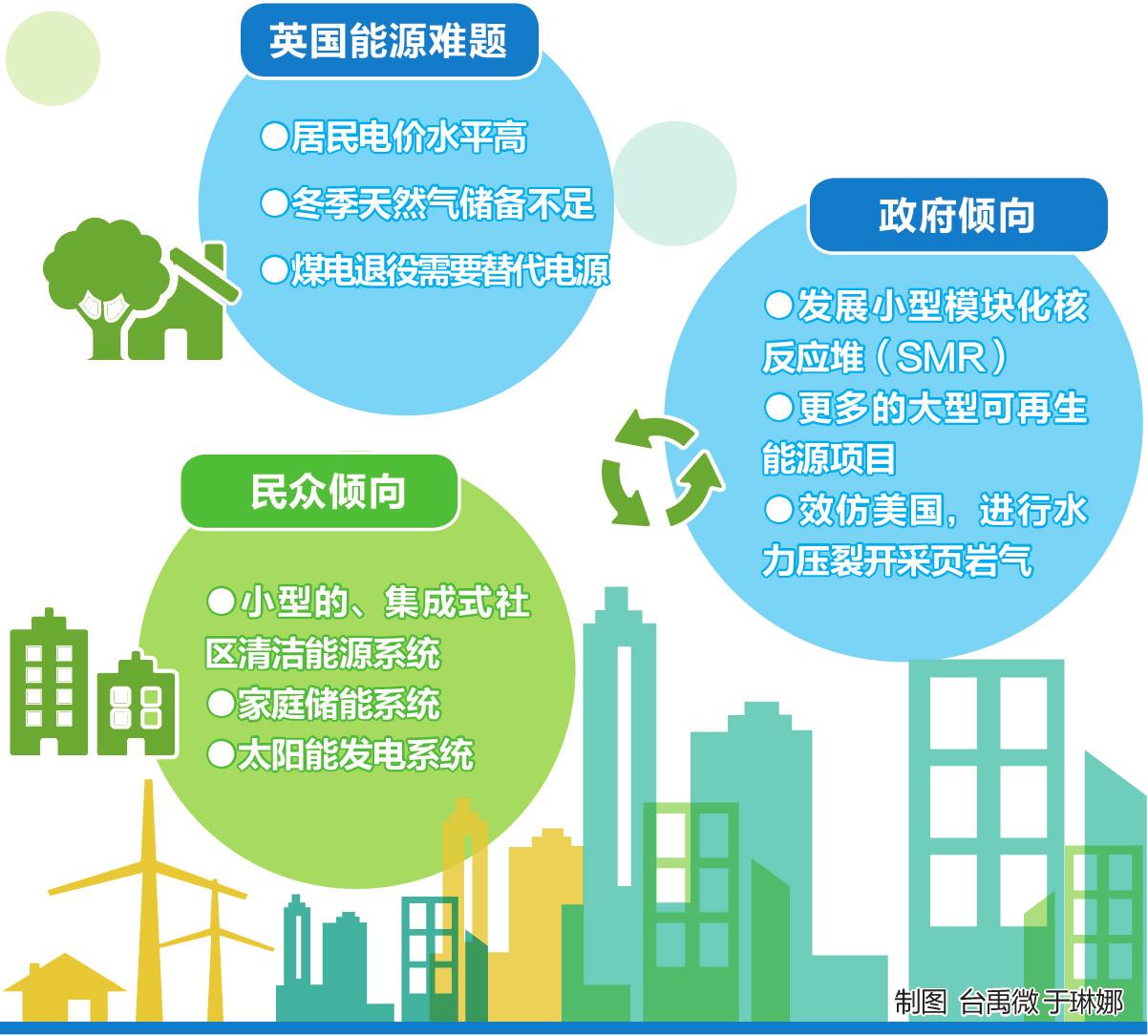 英國更傾向哪種減排方式？