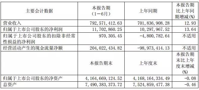 華儀電氣：上半年風電營收3.57億元 完成6MW海上風機概念設(shè)計、簽訂32萬千瓦風電場開發(fā)協(xié)議！
