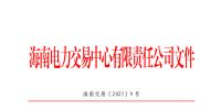 海南電力市場2025年保底售電公司名單公布